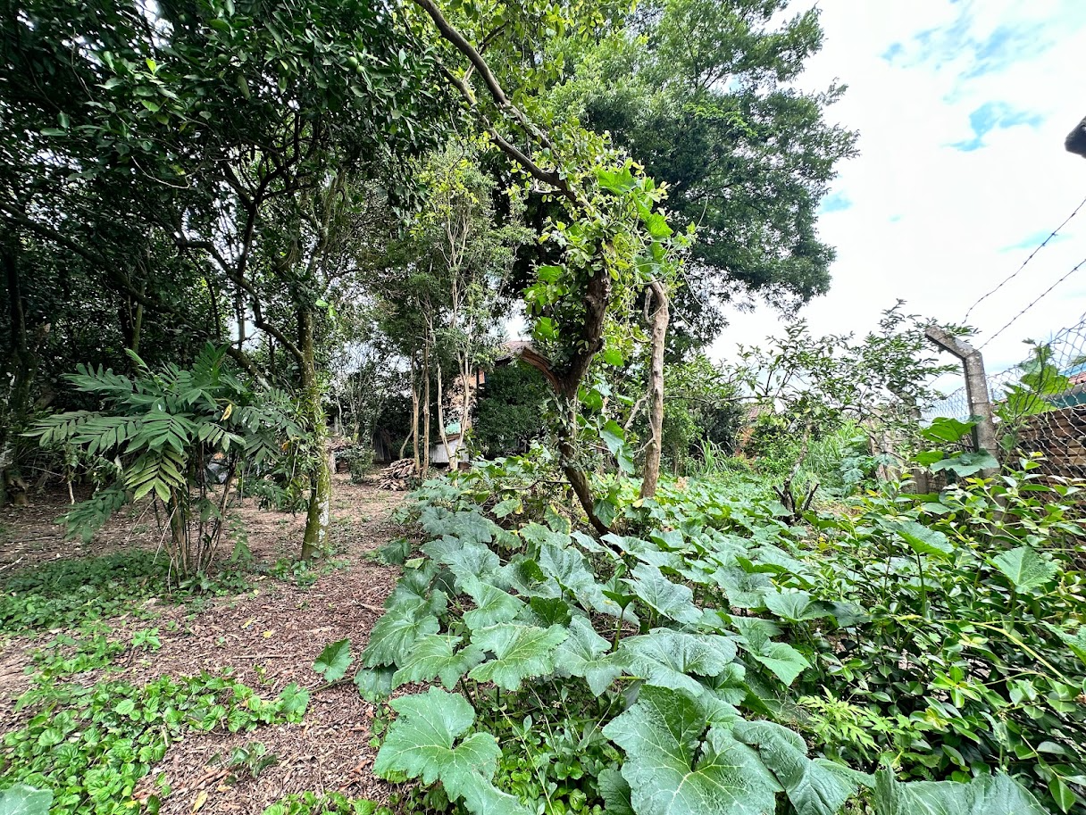 imóvel