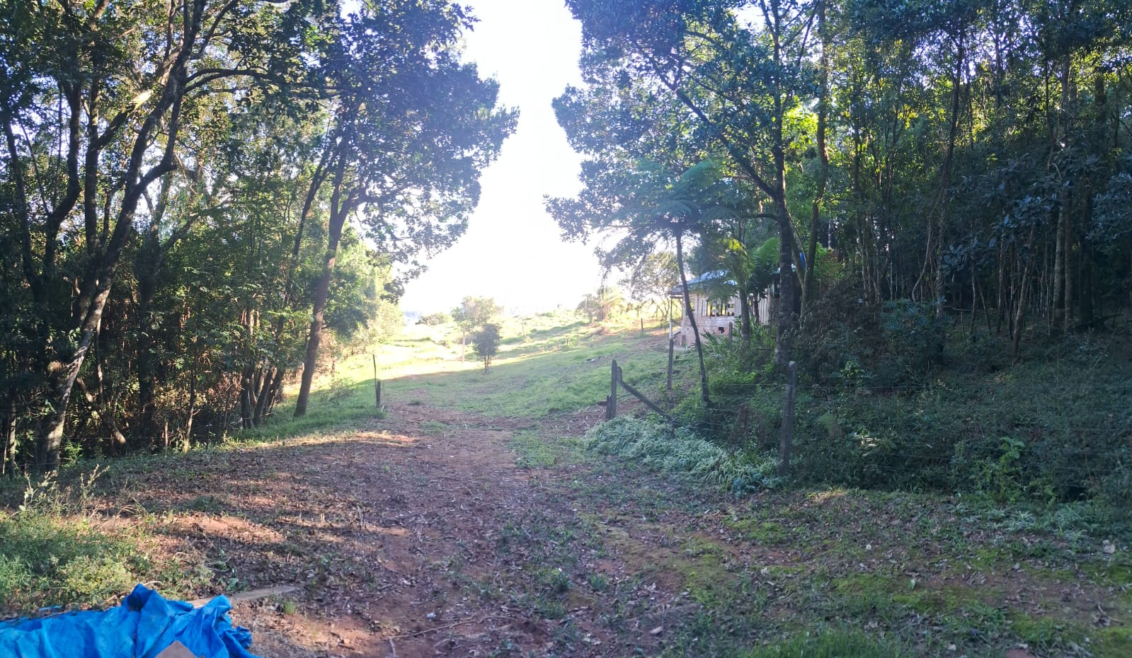 imóvel