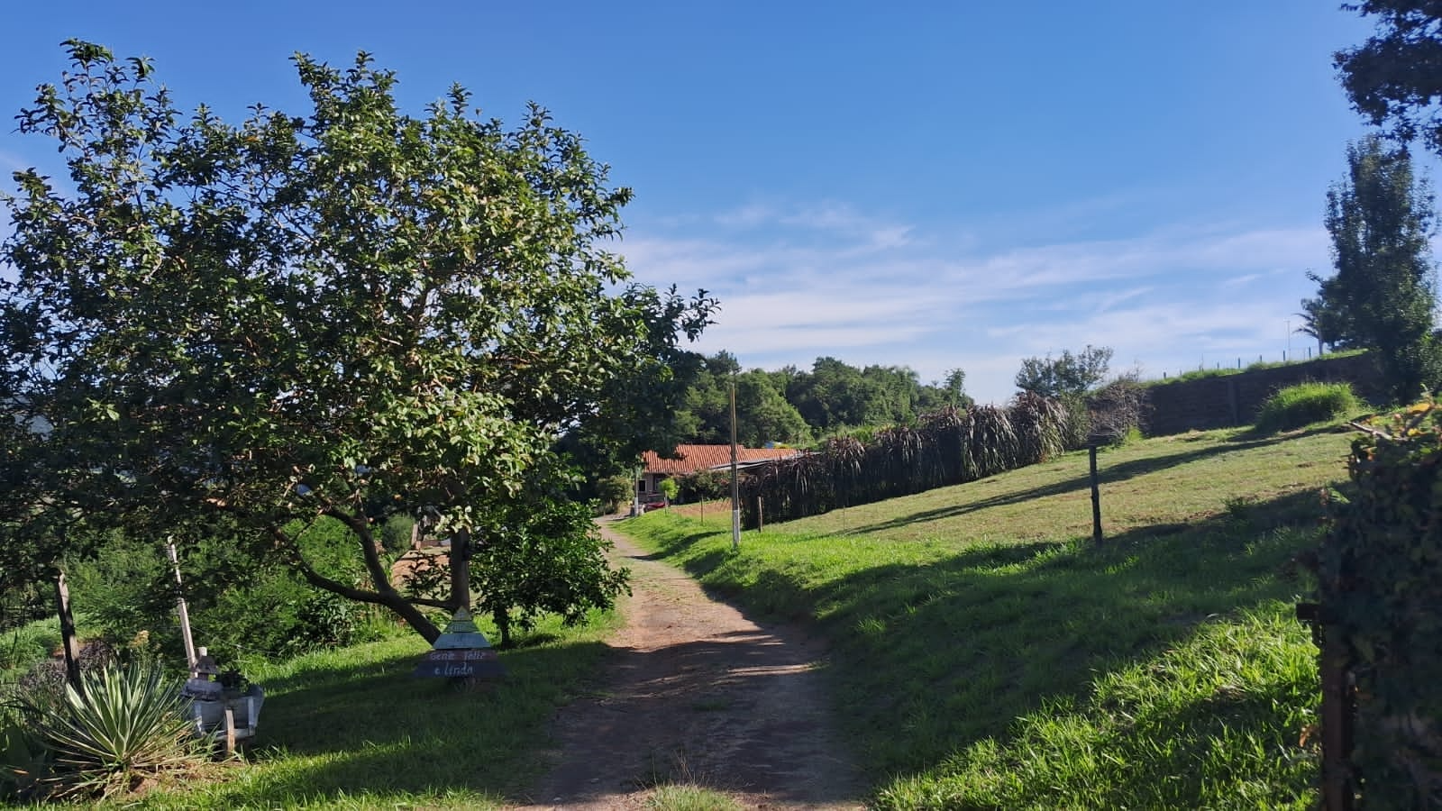 imóvel