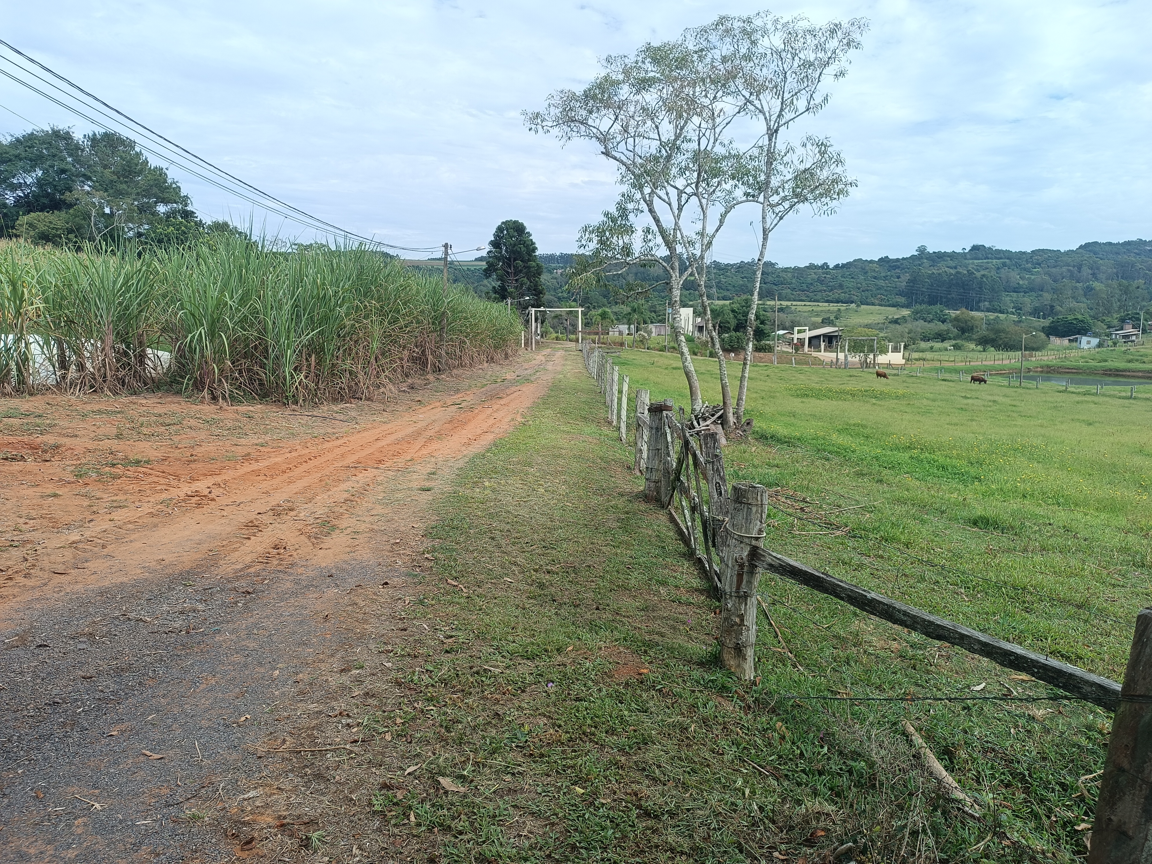 imóvel