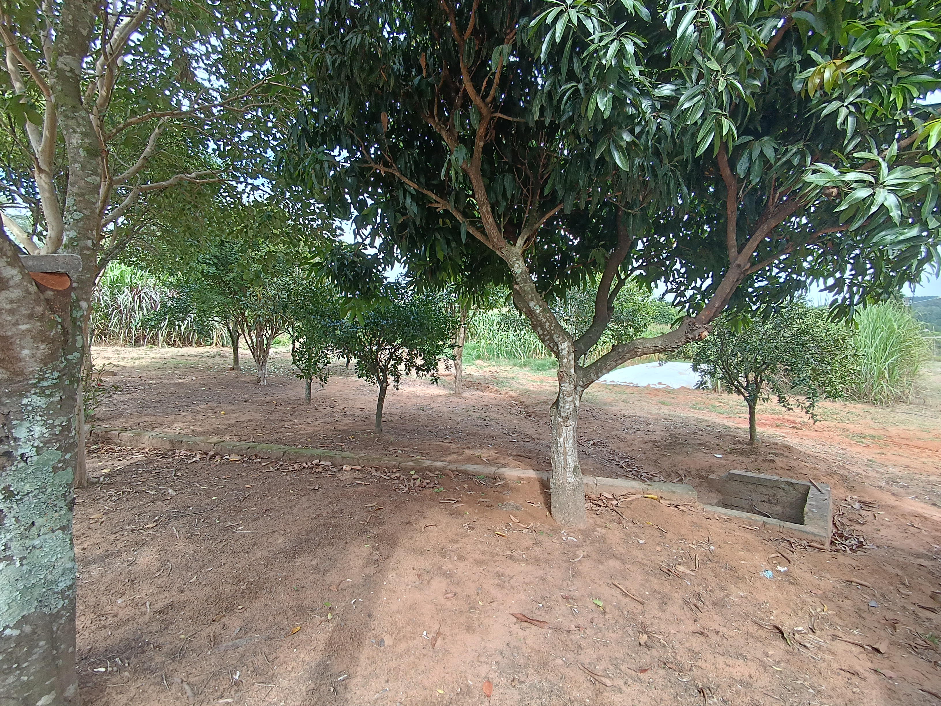 imóvel