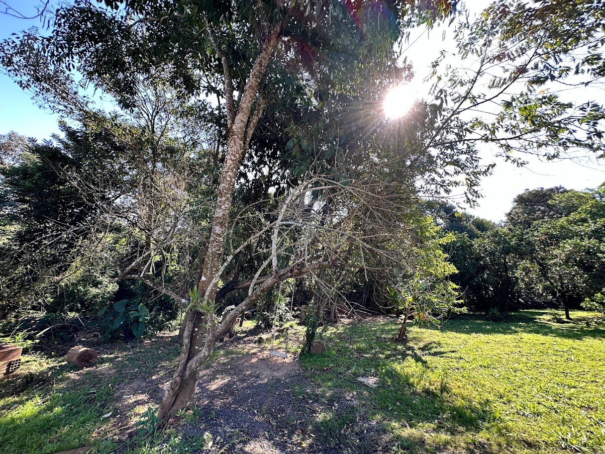 Imóvel