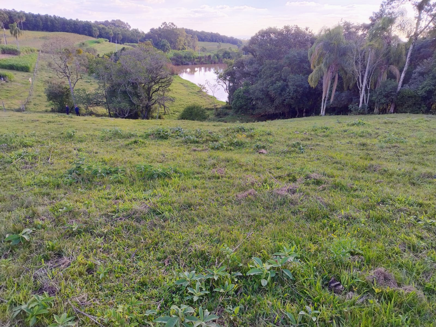 imóvel