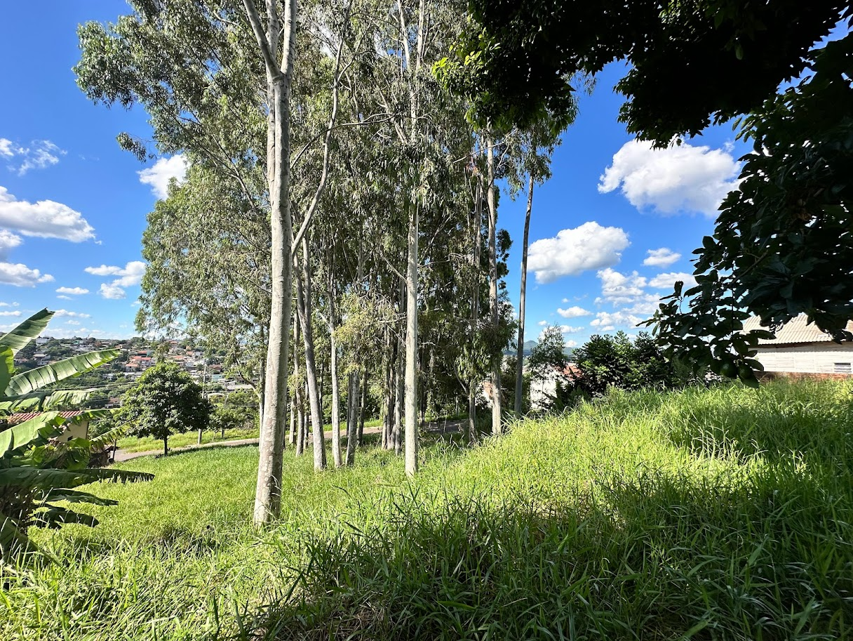 imóvel