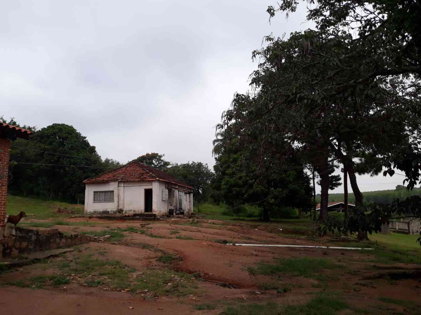 imóvel