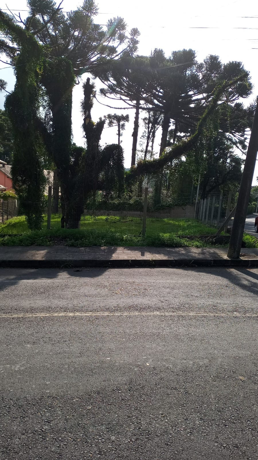imóvel
