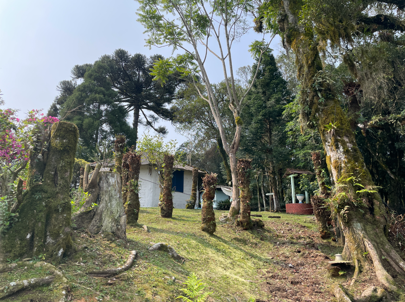 imóvel
