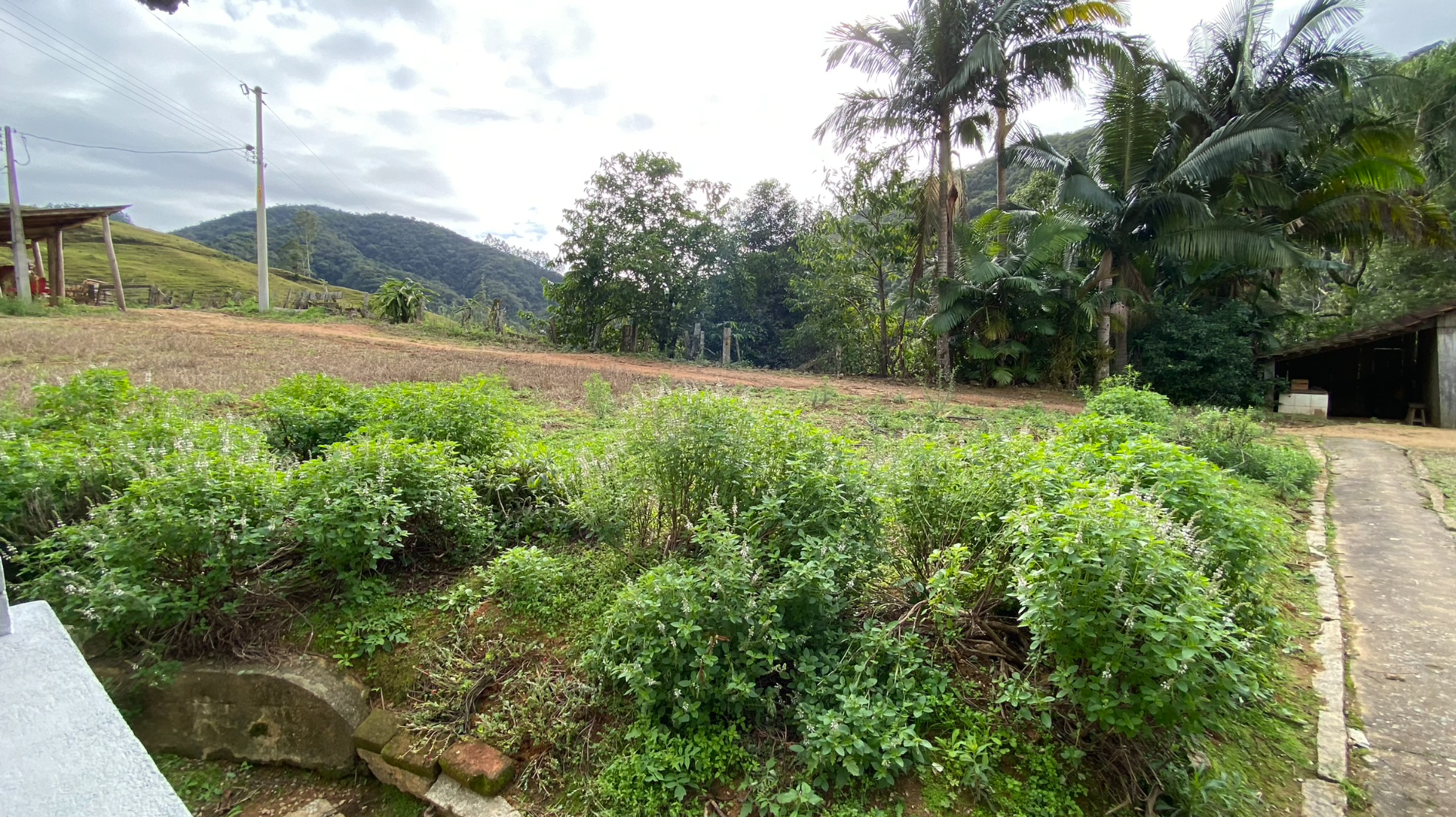 imóvel