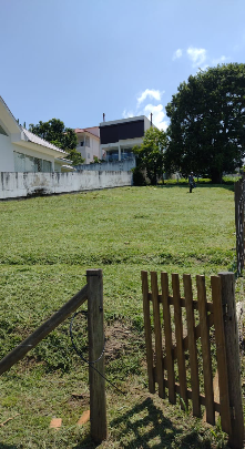 miniature