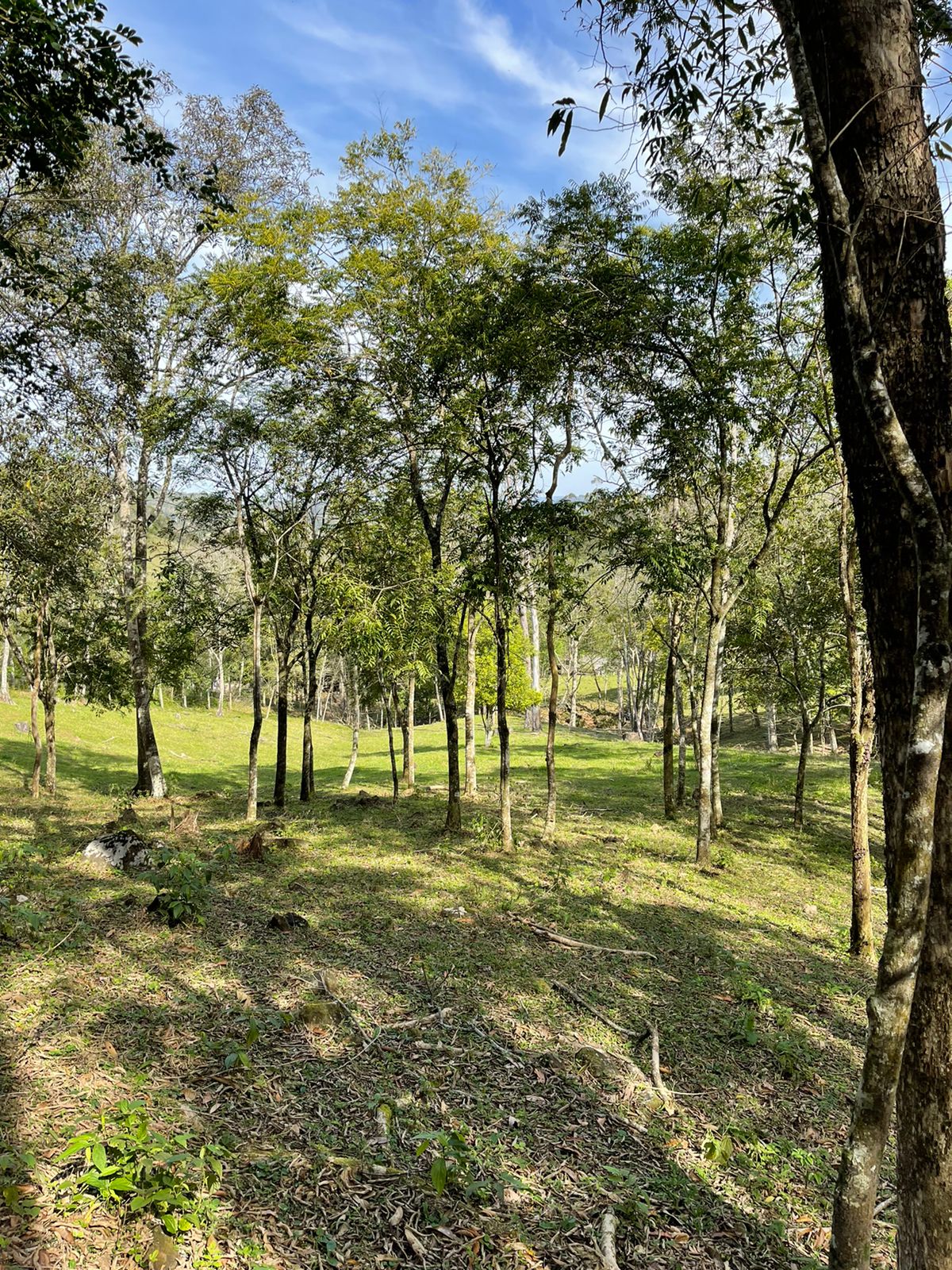 imóvel