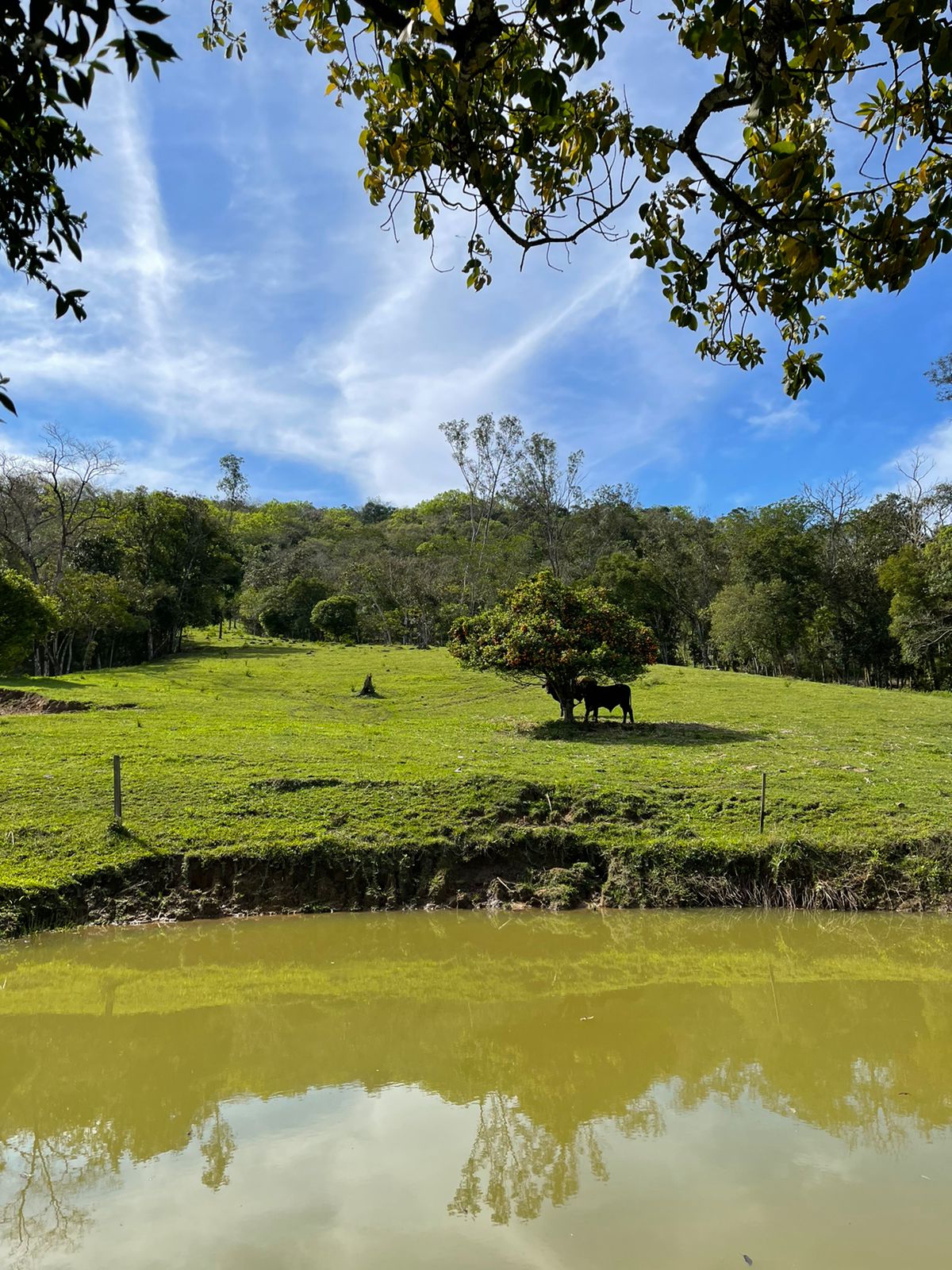 imóvel