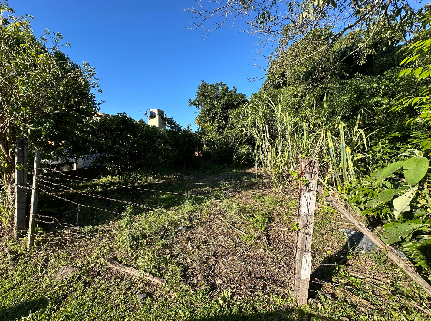 IMÓVEL #1360