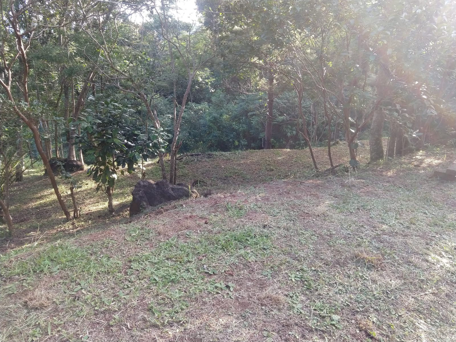 imóvel