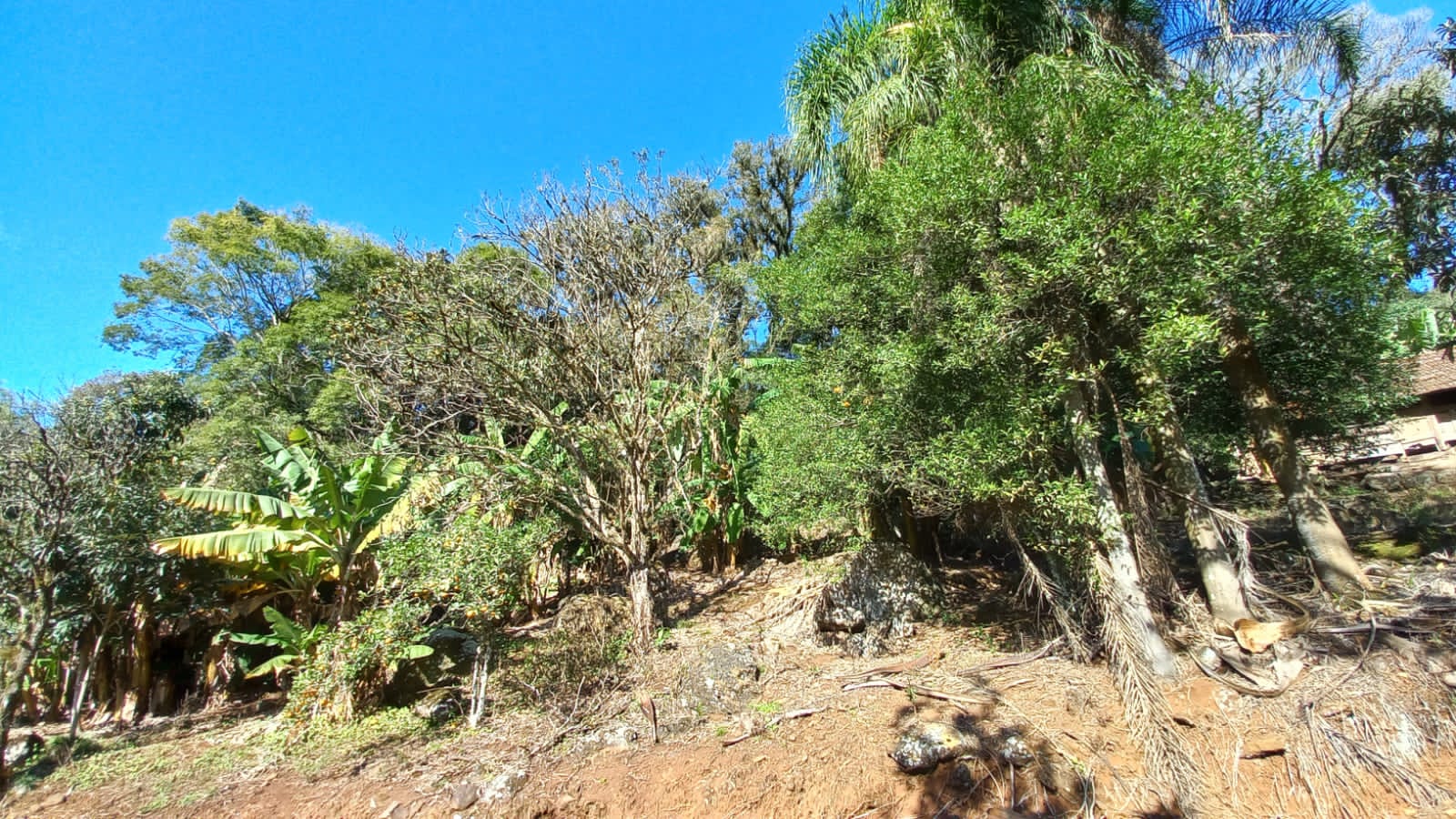 imóvel