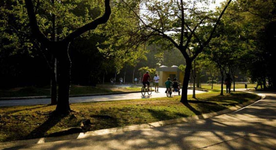 ALTO DE PINHEIROS