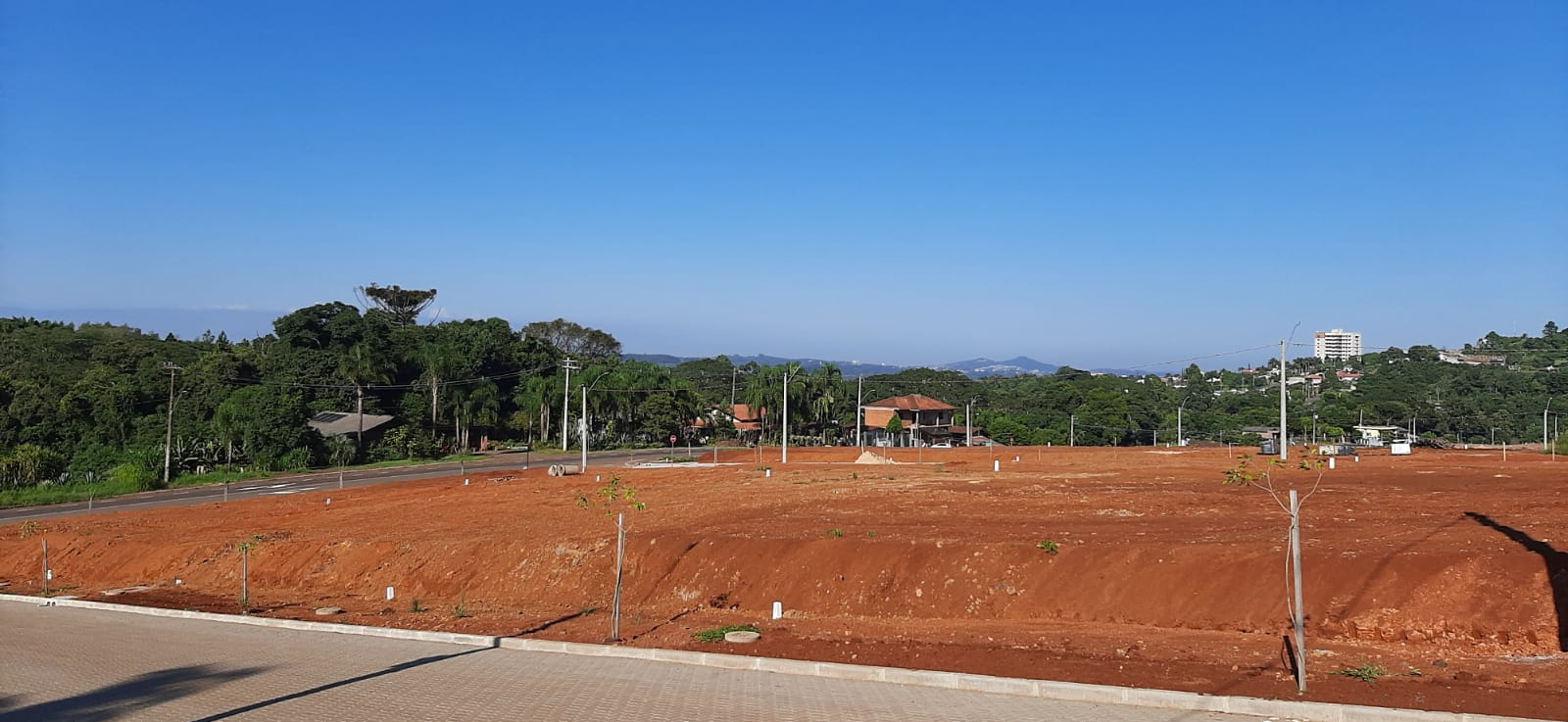 Próxima imagem