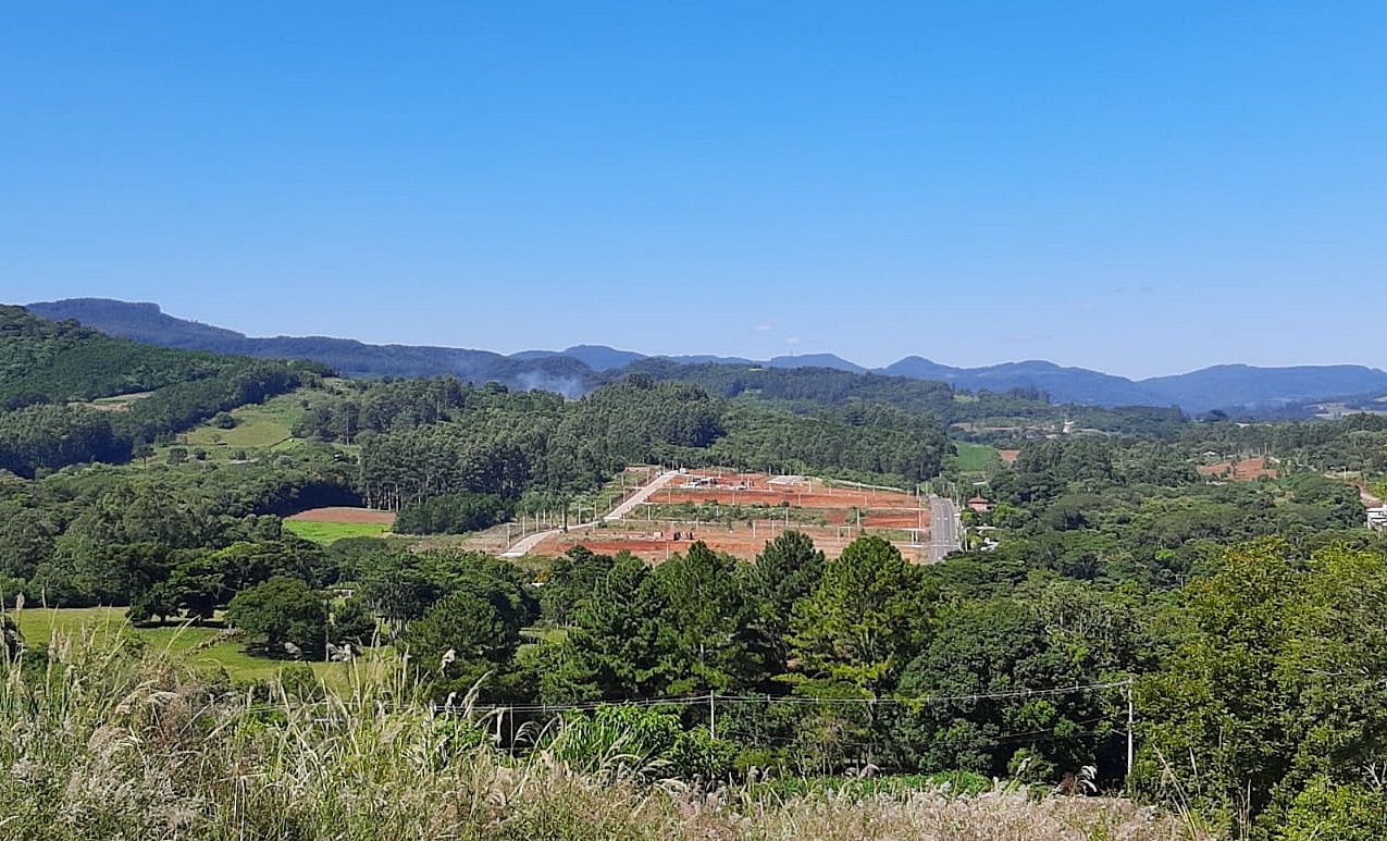 Próxima imagem