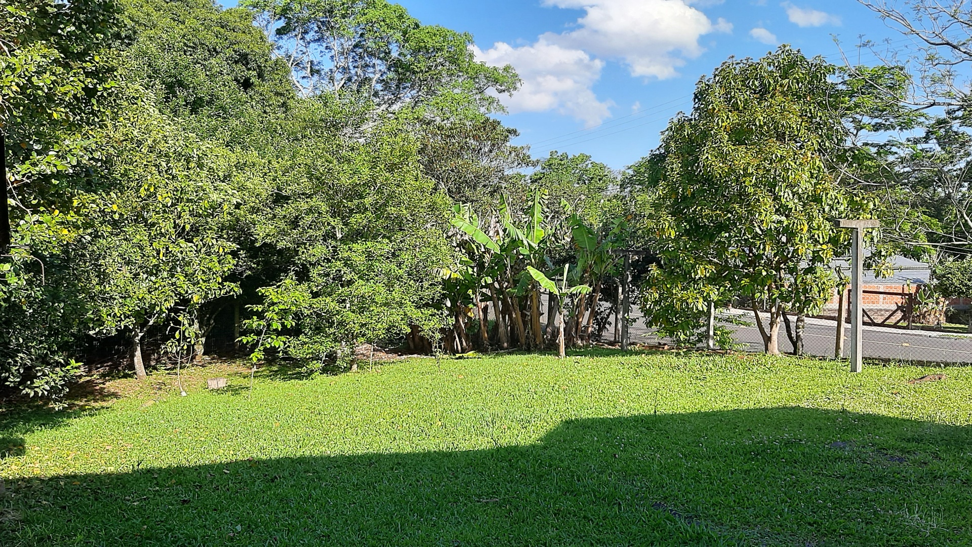 Imagem anterior