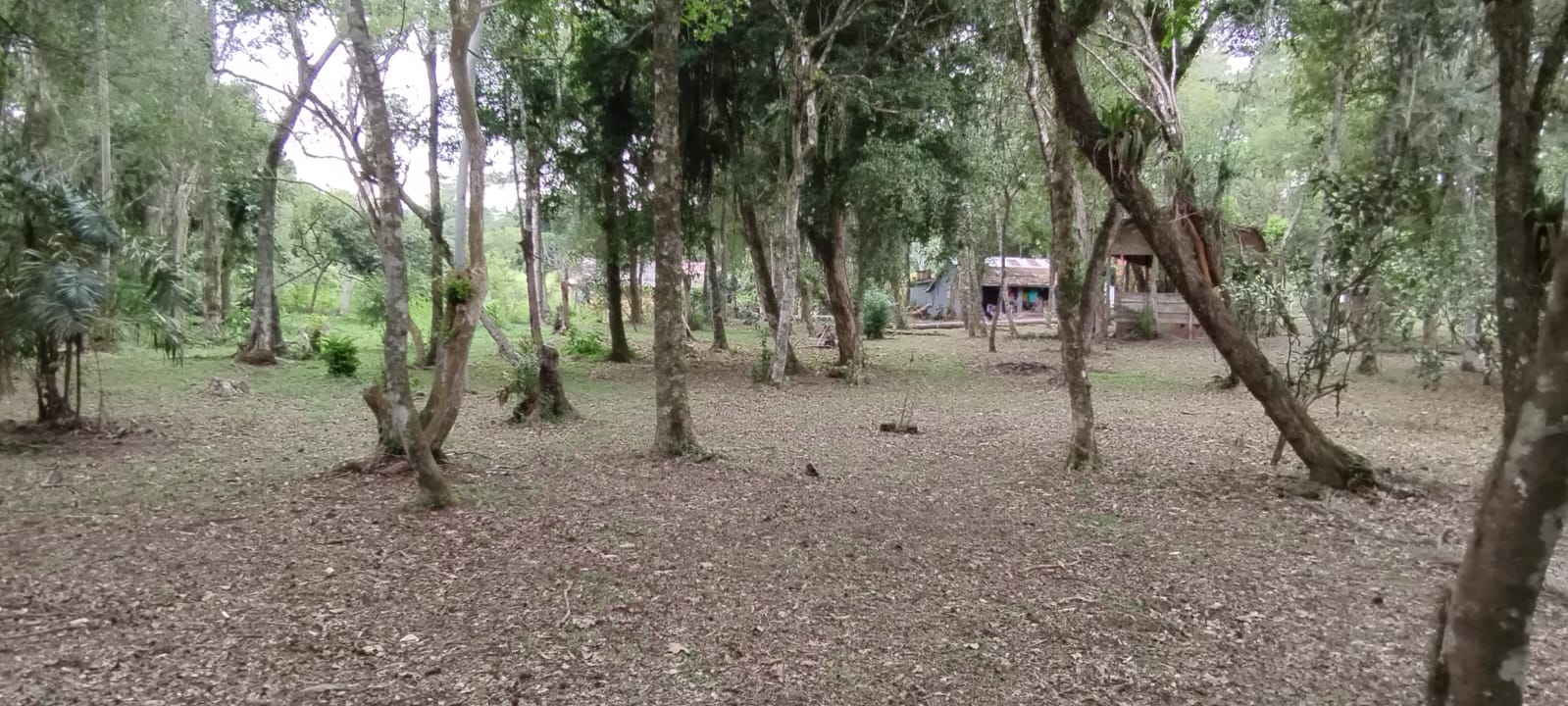 imóvel