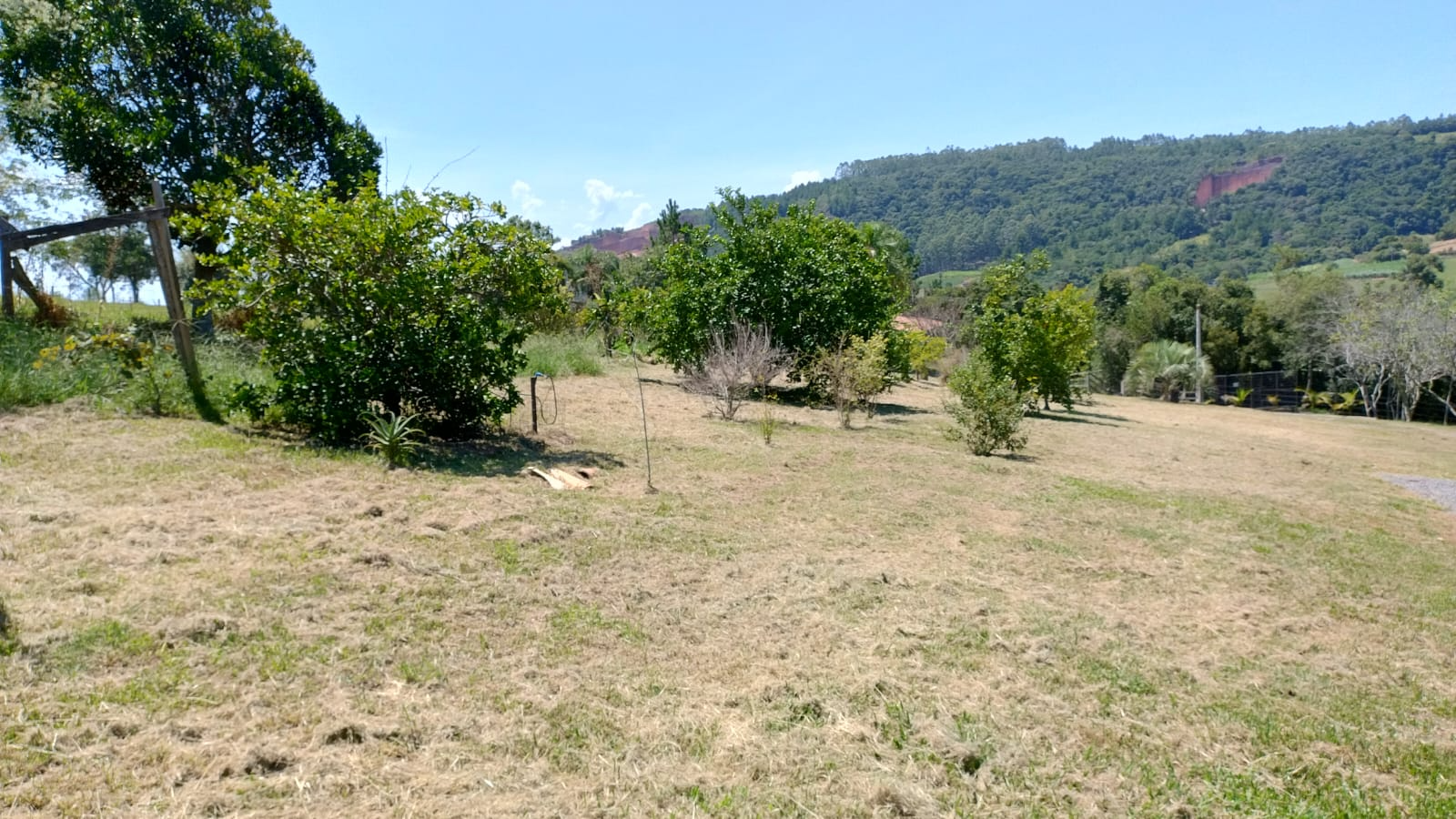 imóvel