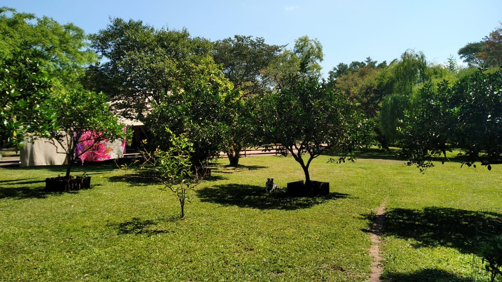 imóvel