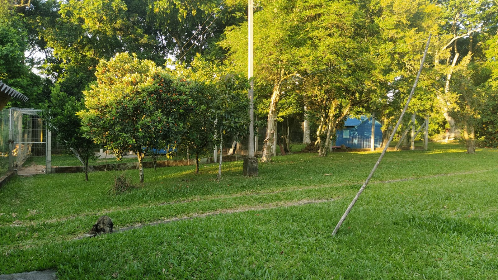 imóvel