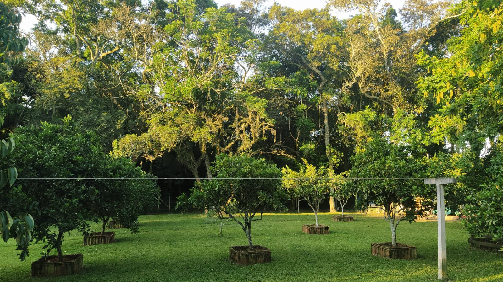 imóvel