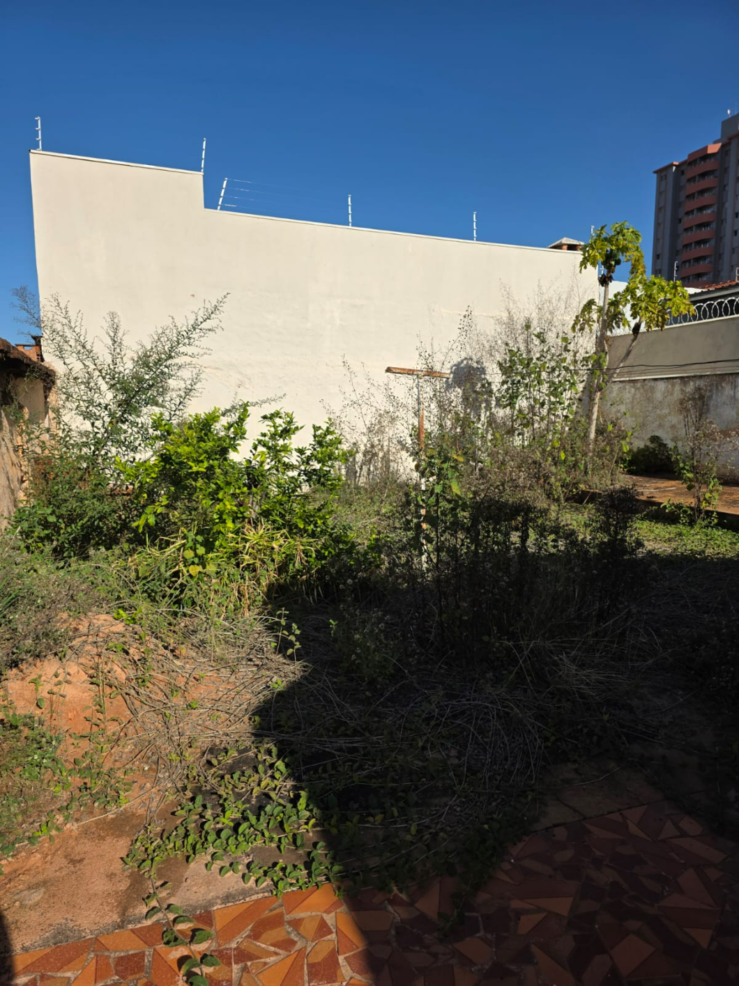 imóvel