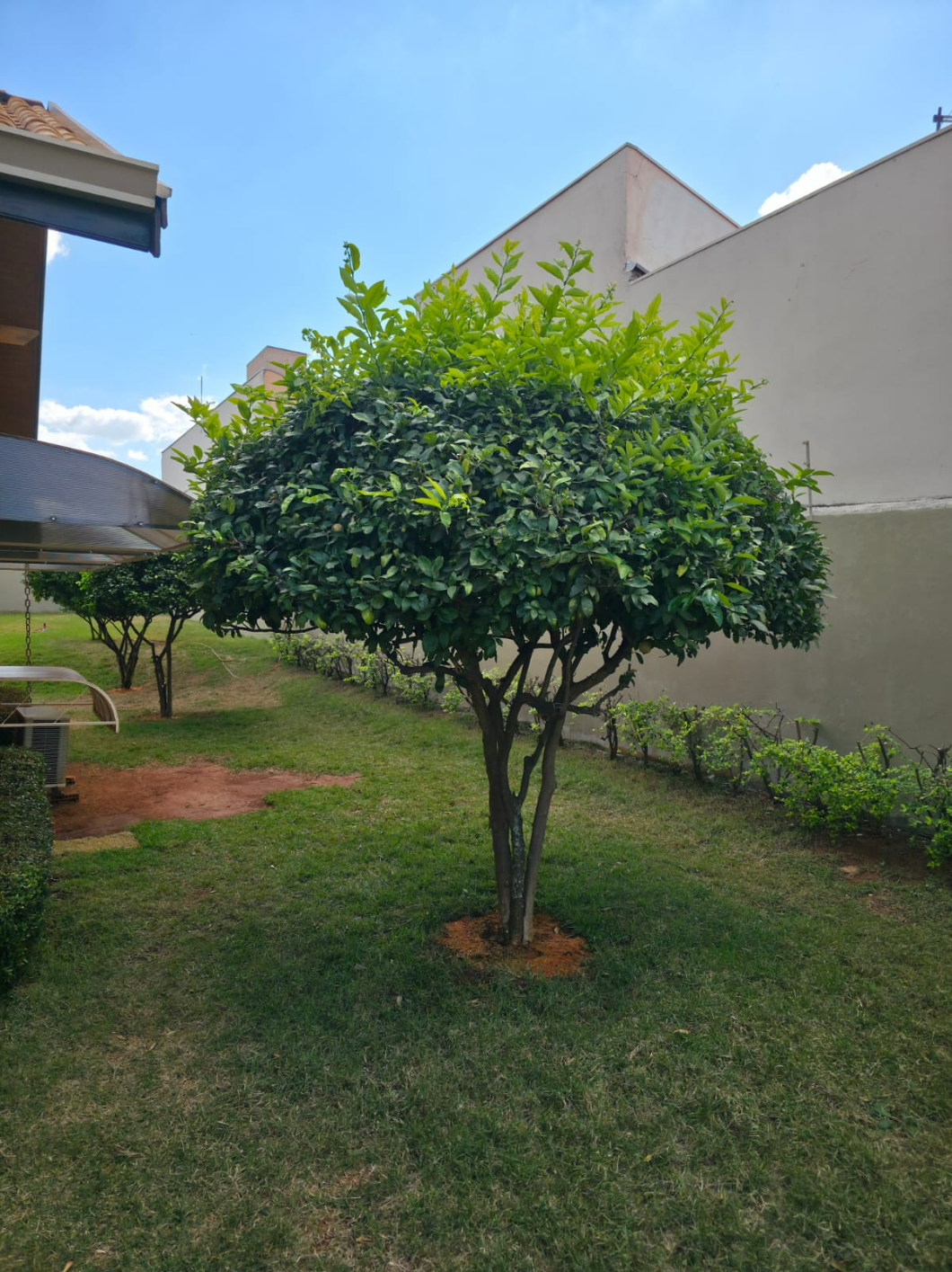 imóvel