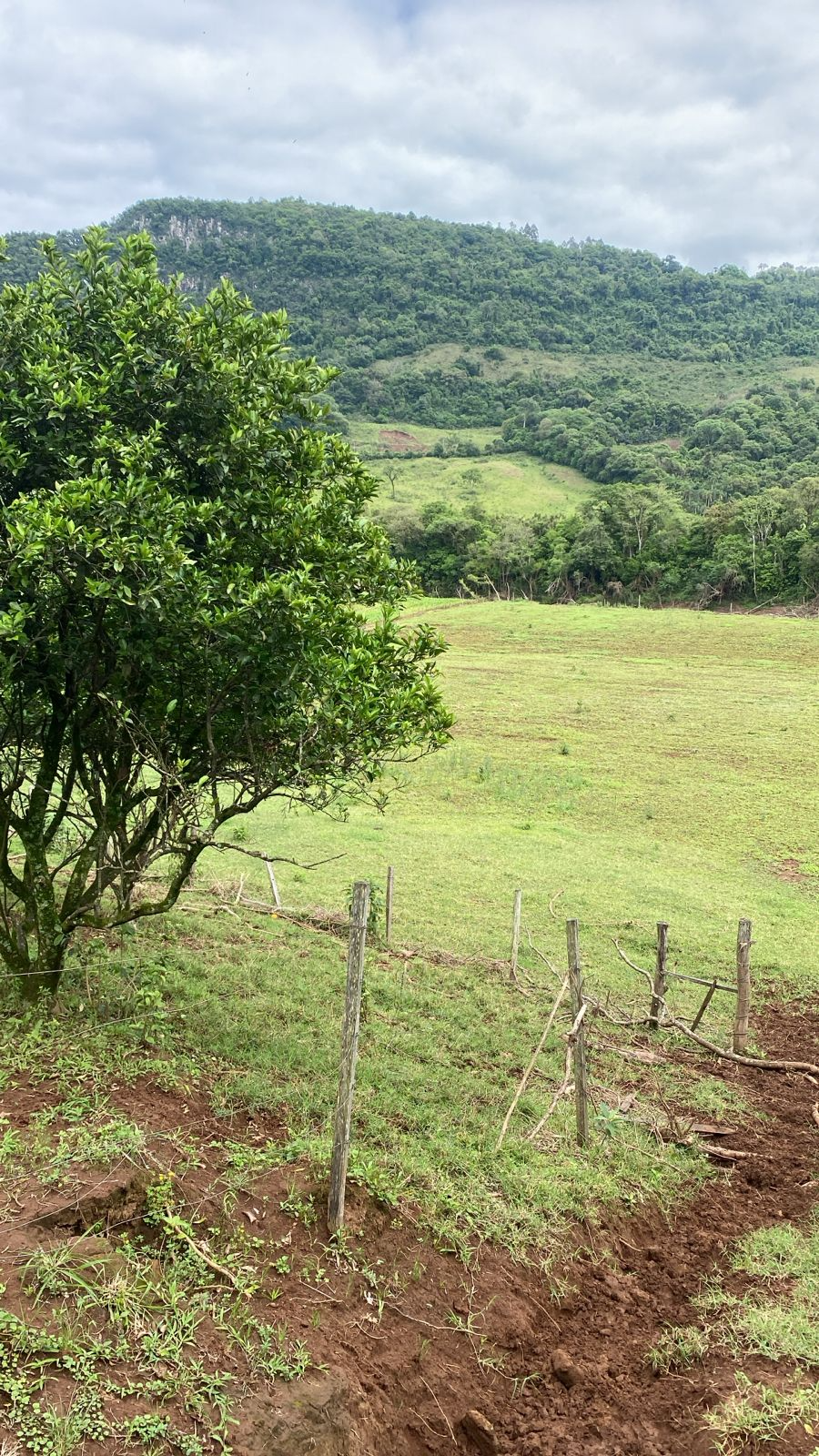 imóvel