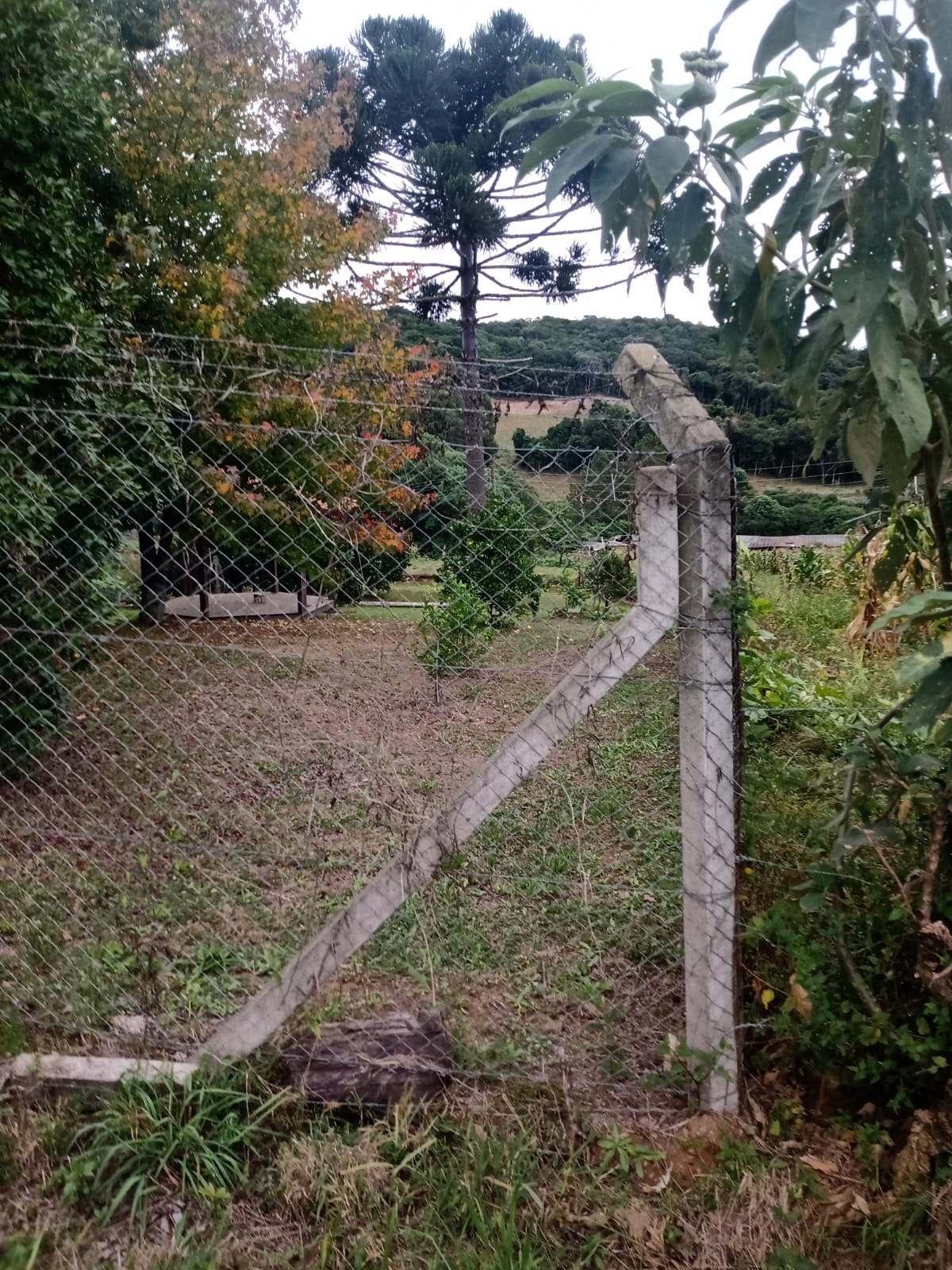 imóvel