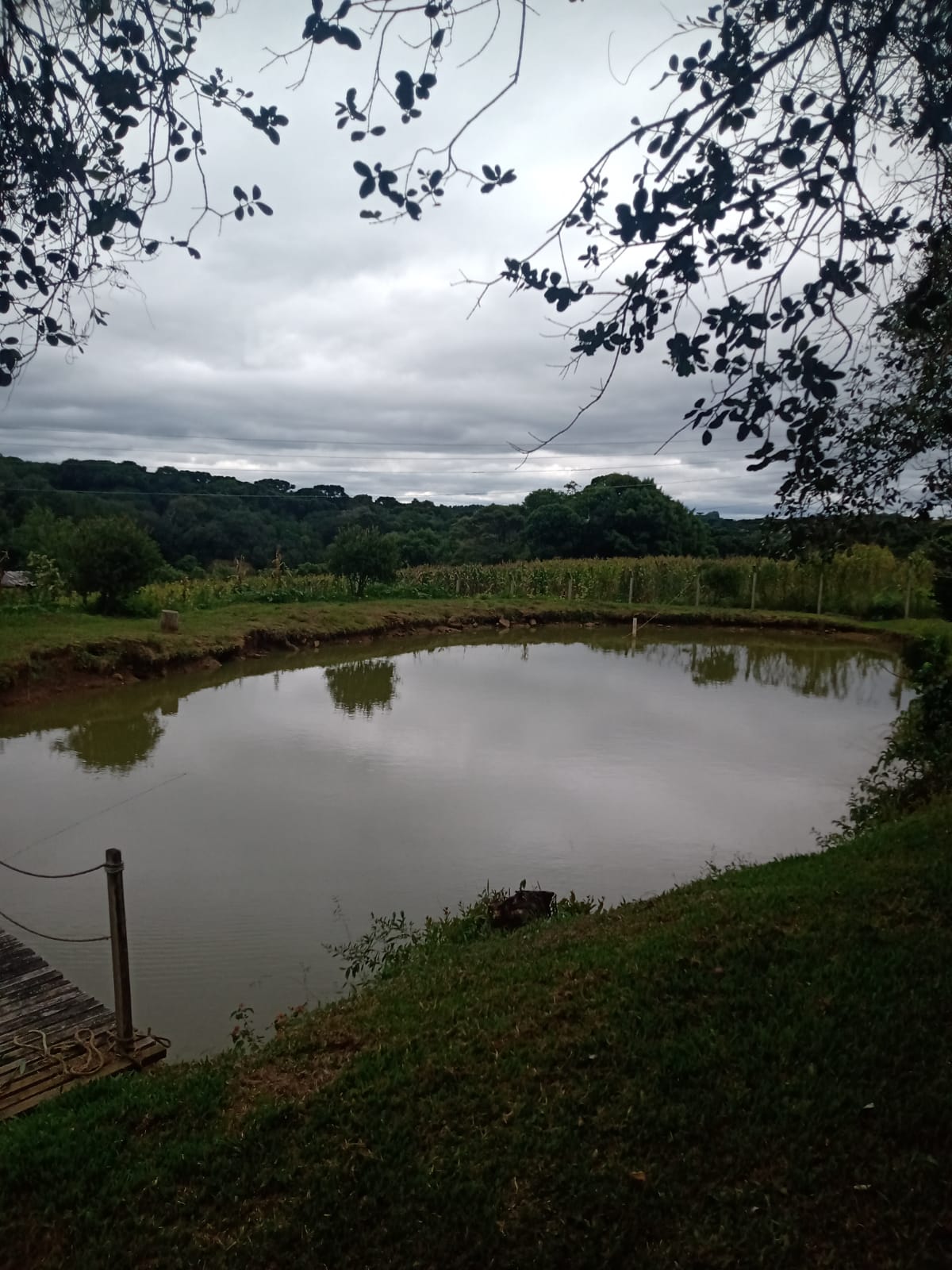 imóvel