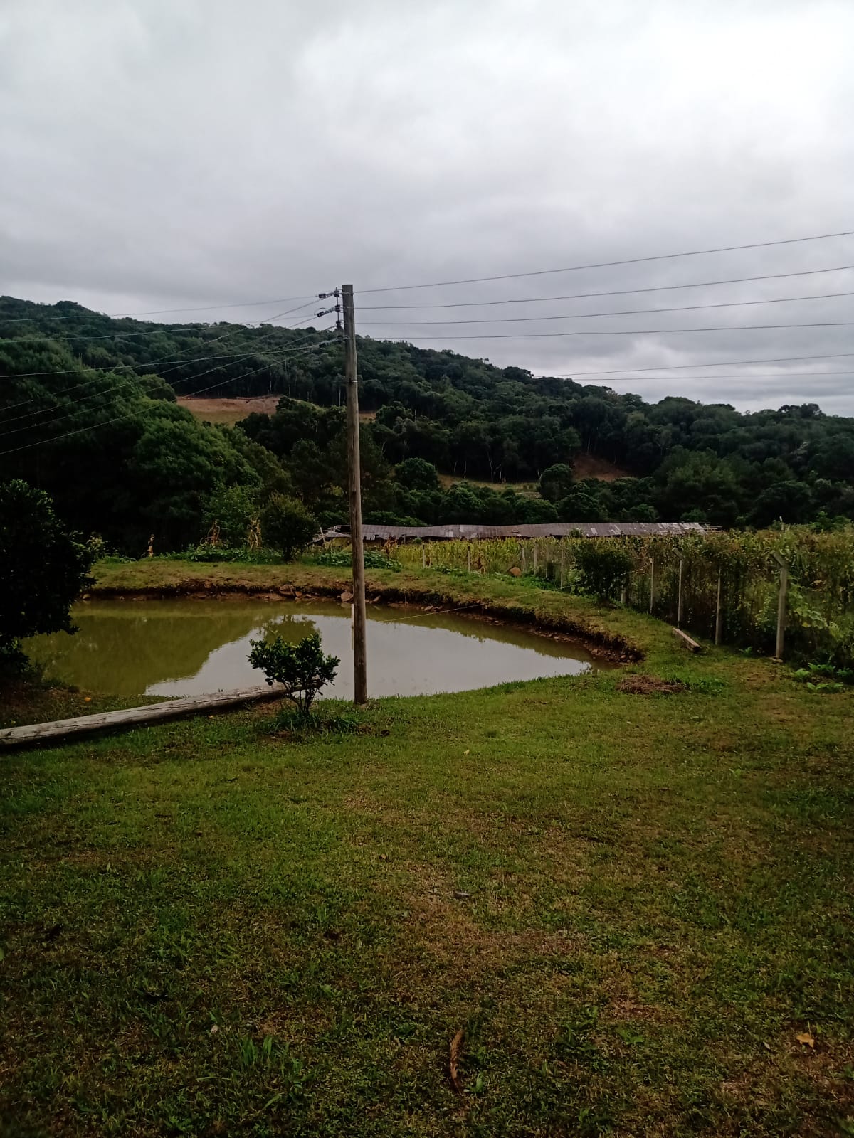 imóvel