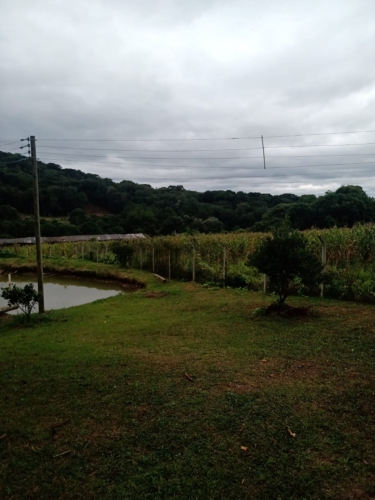 imóvel