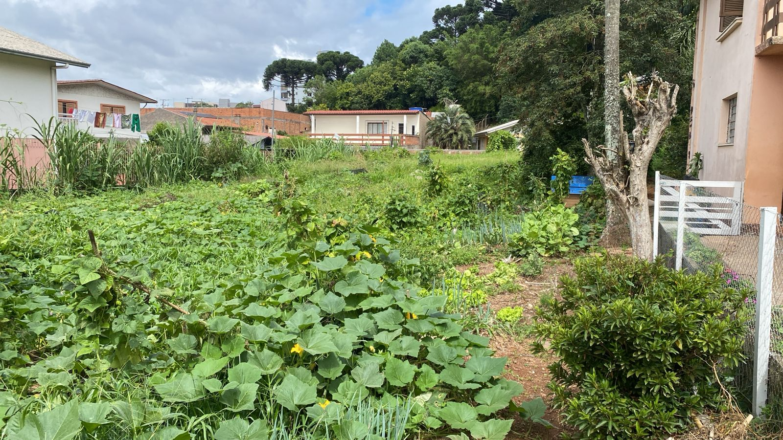 imóvel