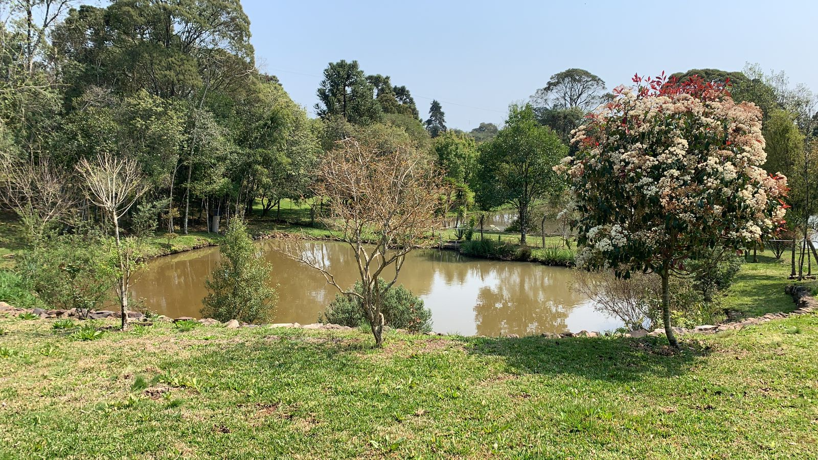 imóvel