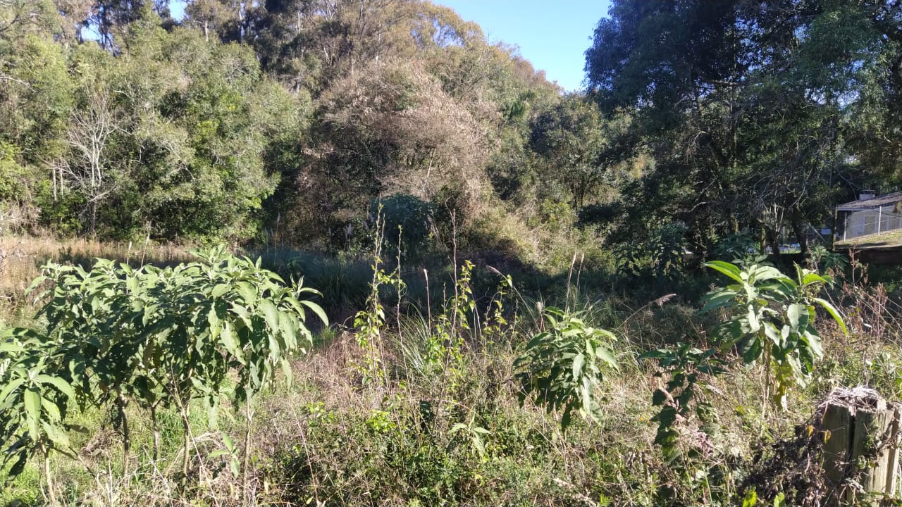 imóvel