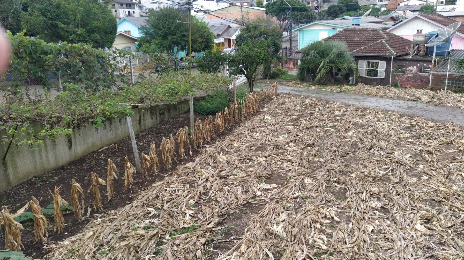 imóvel
