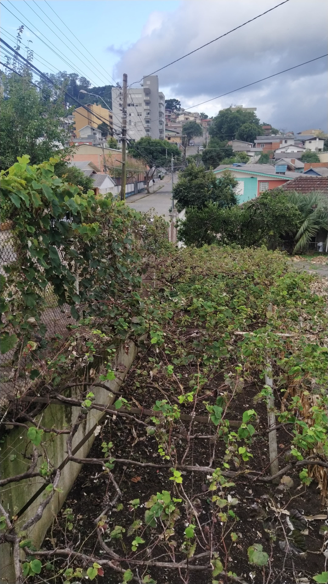 imóvel