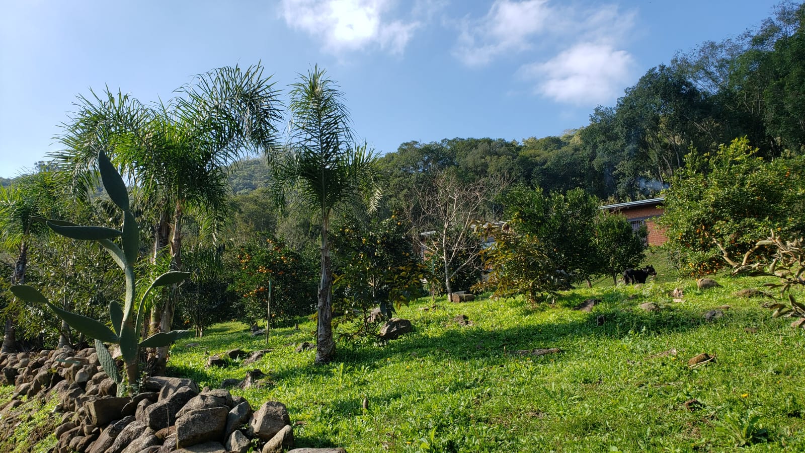 imóvel