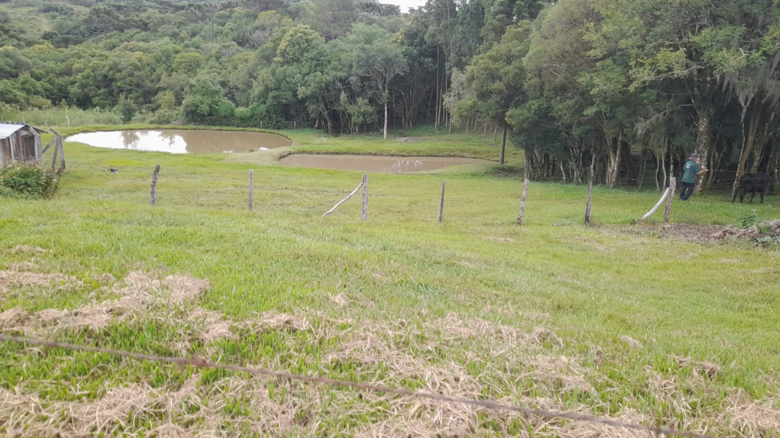 imóvel
