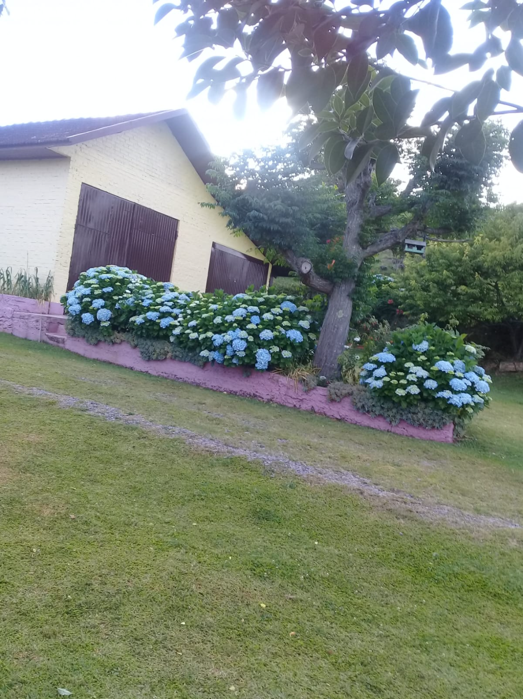 imóvel