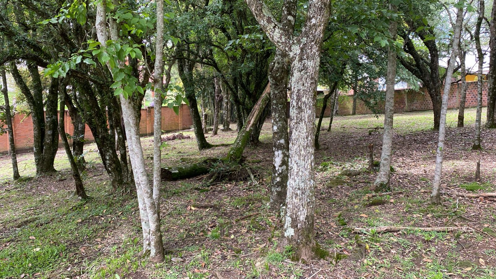 imóvel