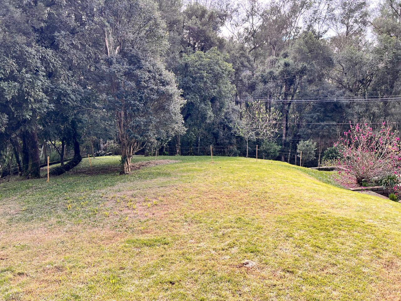 imóvel