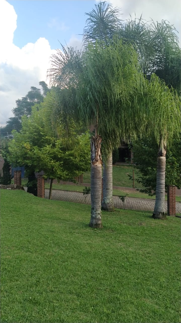 imóvel