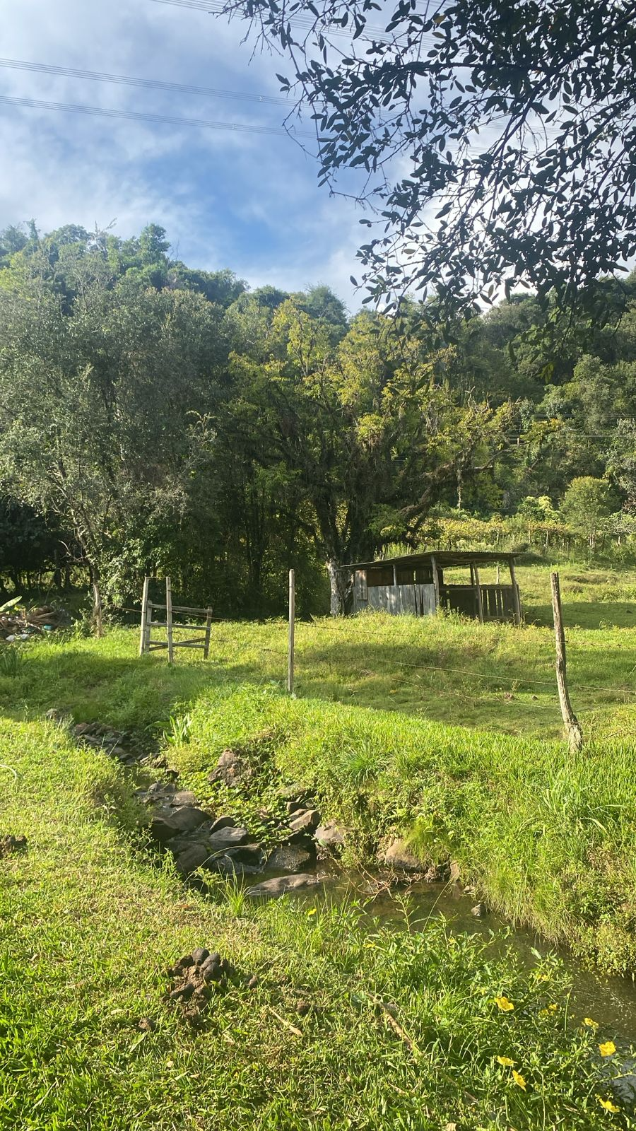 imóvel