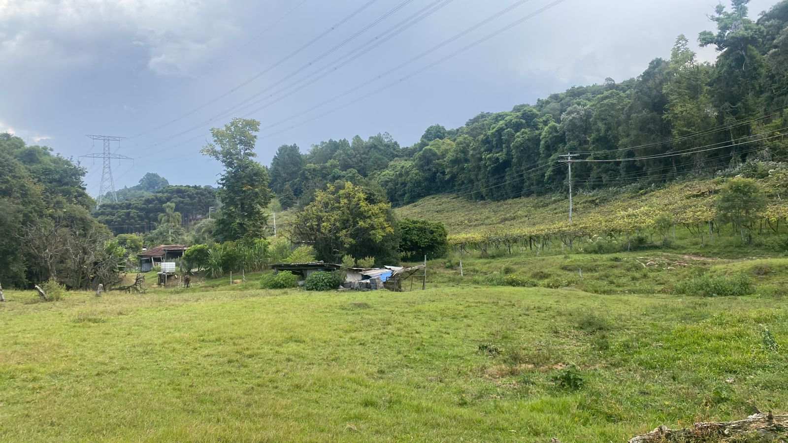 imóvel