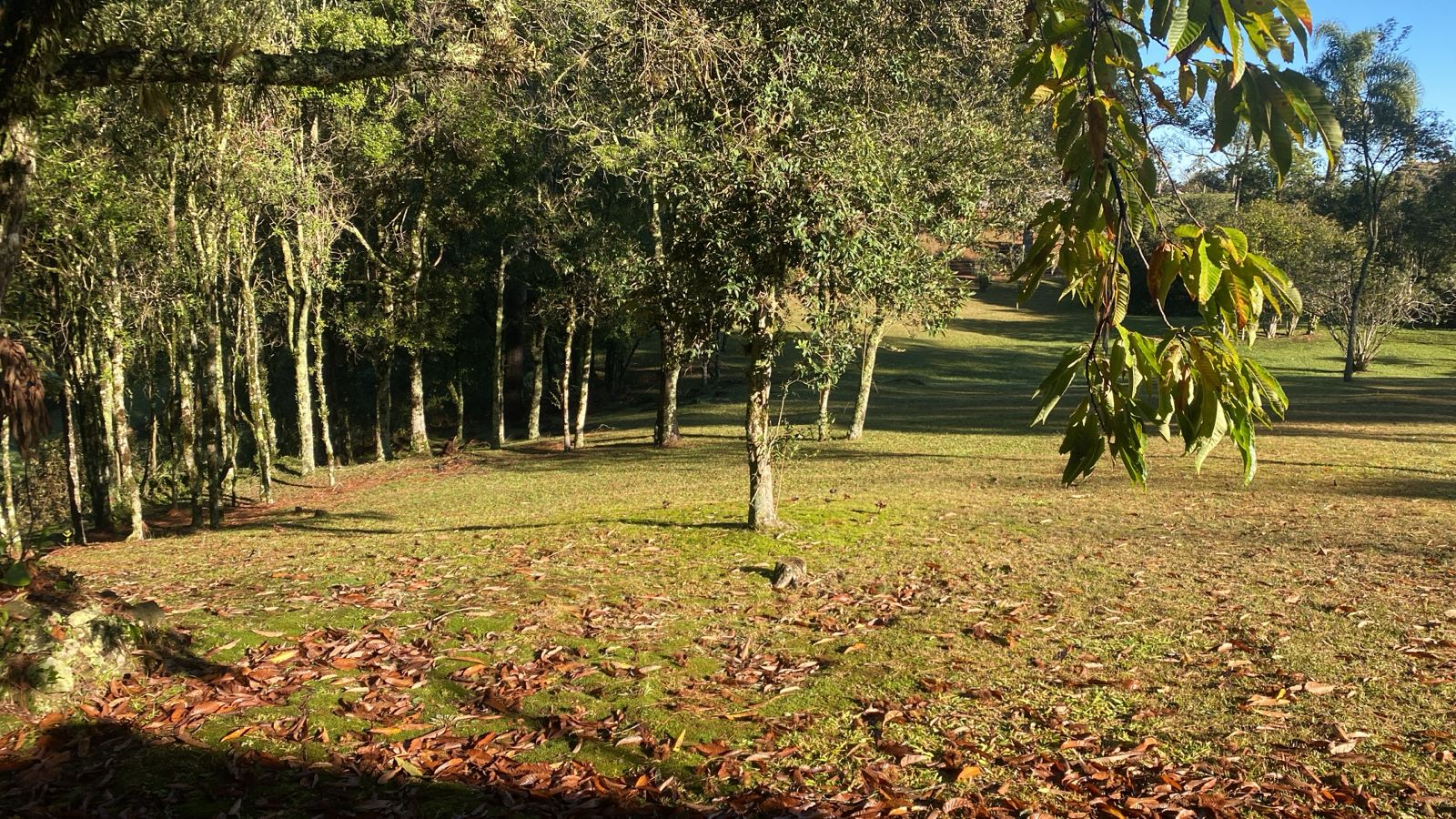 imóvel