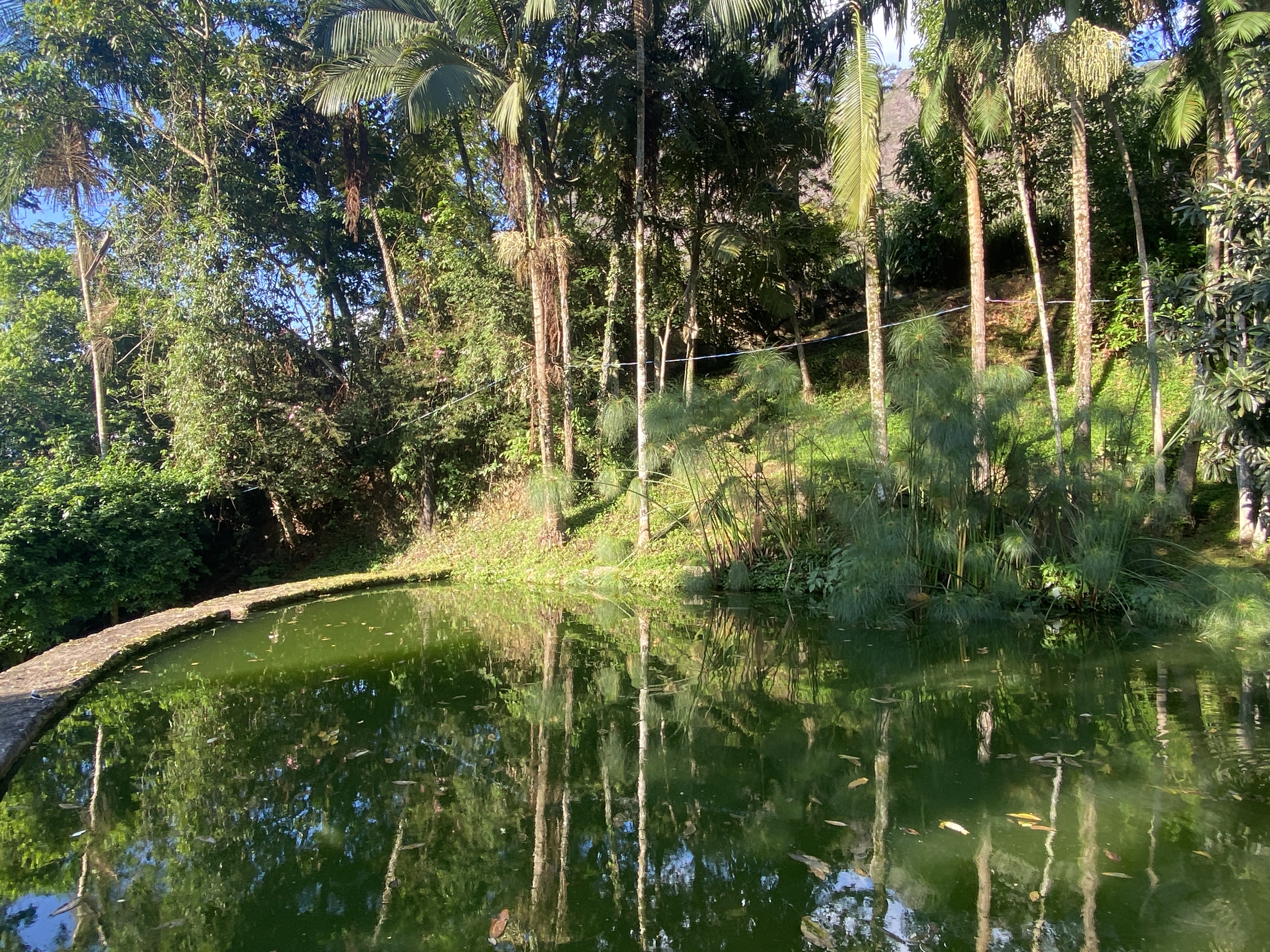 Imagem anterior