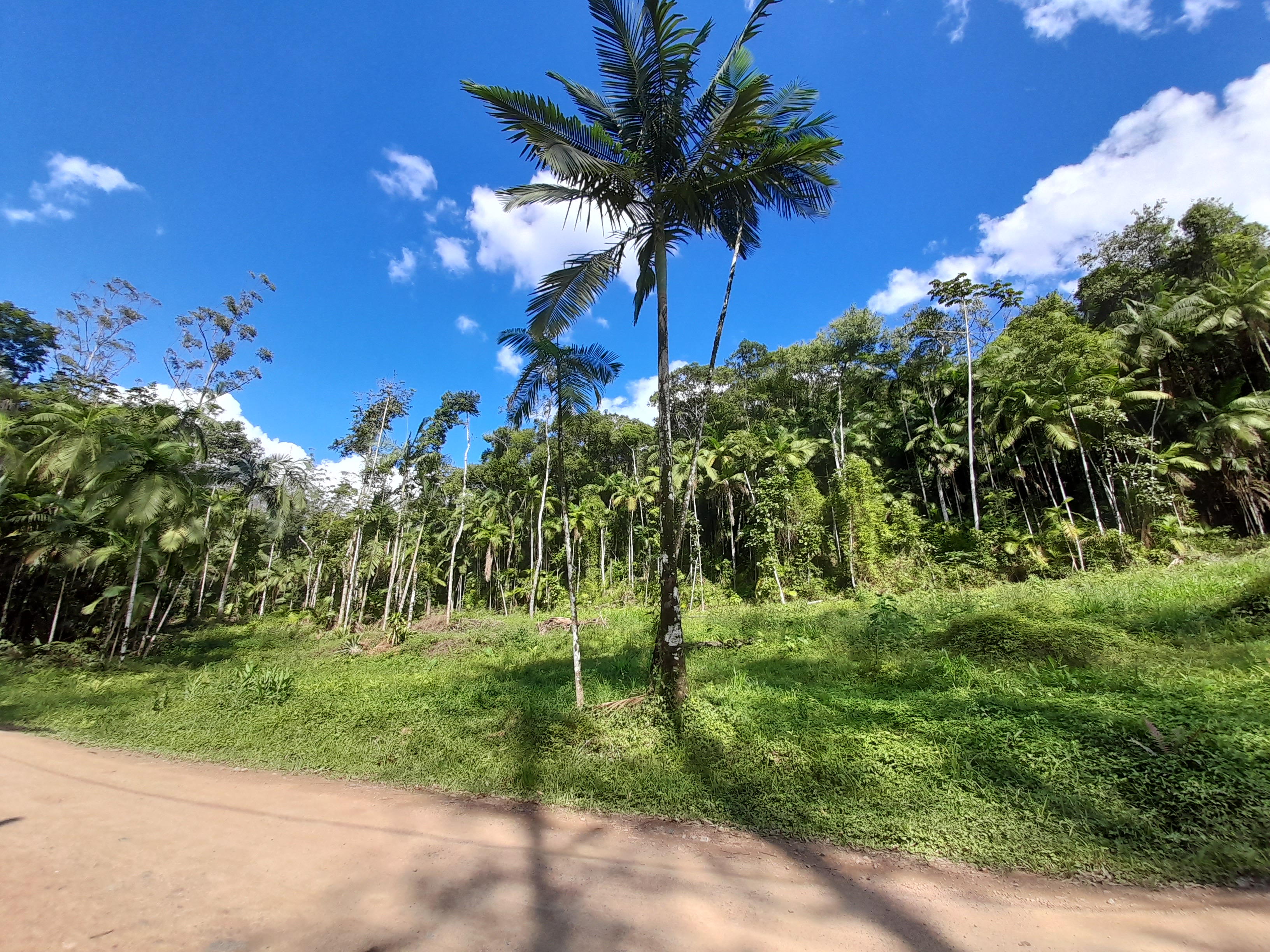 imóvel